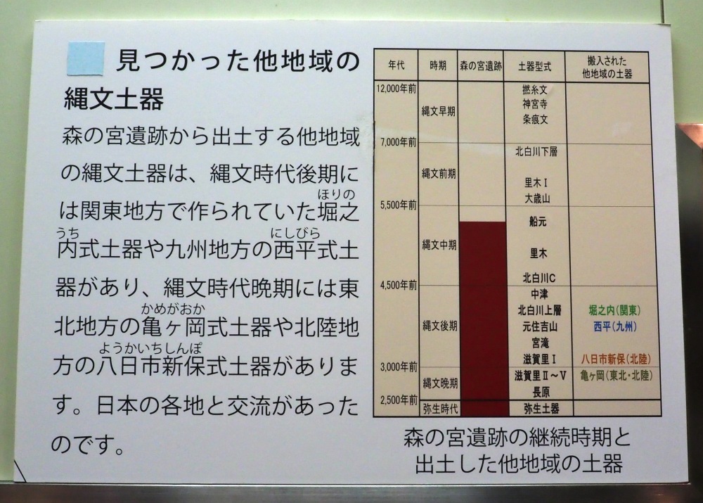 大阪市内縄文遺跡　縄文土器