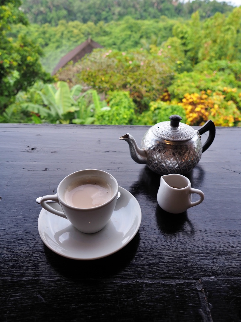 ウブドの景色が最高カフェでヘルシーフード